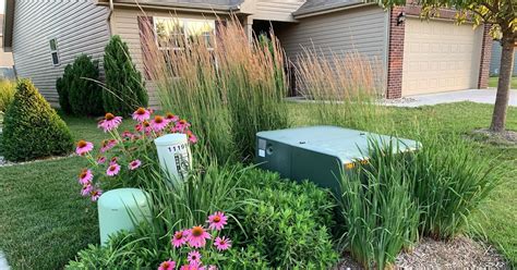 planting around electrical boxes|camouflage utility box in garden.